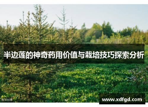 半边莲的神奇药用价值与栽培技巧探索分析