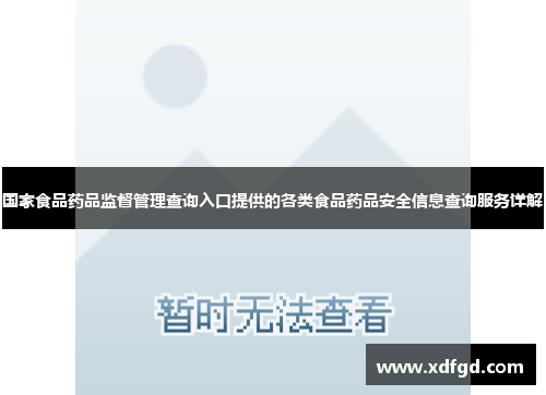 国家食品药品监督管理查询入口提供的各类食品药品安全信息查询服务详解