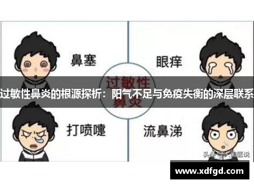 过敏性鼻炎的根源探析：阳气不足与免疫失衡的深层联系