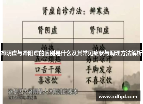 肾阴虚与肾阳虚的区别是什么及其常见症状与调理方法解析