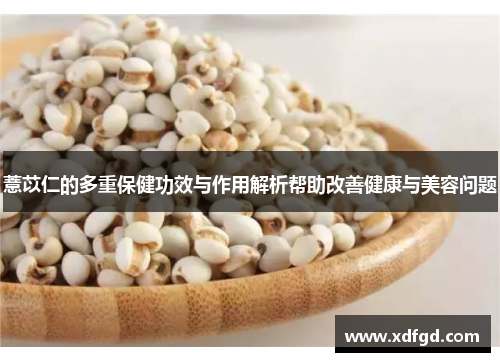 薏苡仁的多重保健功效与作用解析帮助改善健康与美容问题