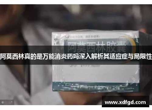阿莫西林真的是万能消炎药吗深入解析其适应症与局限性