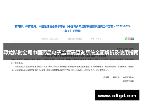 尊龙凯时公司中国药品电子监管码查询系统全面解析及使用指南