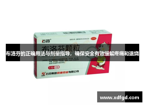 布洛芬的正确用法与剂量指导，确保安全有效缓解疼痛和退烧