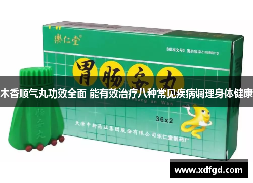 木香顺气丸功效全面 能有效治疗八种常见疾病调理身体健康