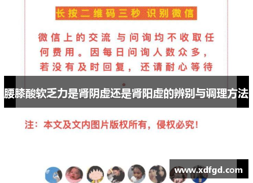 腰膝酸软乏力是肾阴虚还是肾阳虚的辨别与调理方法